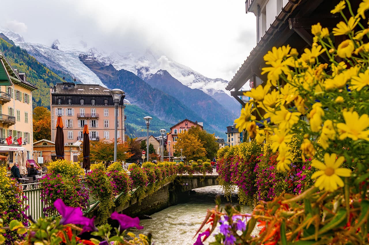 Spring skiing with mountain flowers